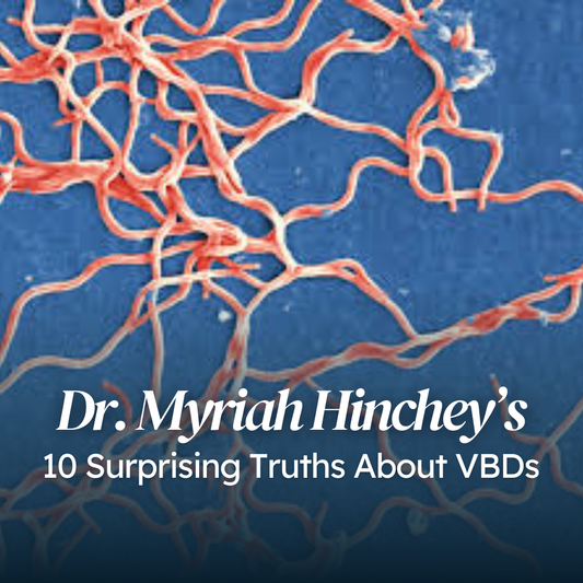 10 Surprising Truths About VBDs | Mini Talk