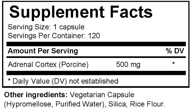 IsoCortex-DS