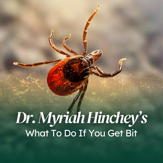 What To Do If You Get Bit | Mini Talk