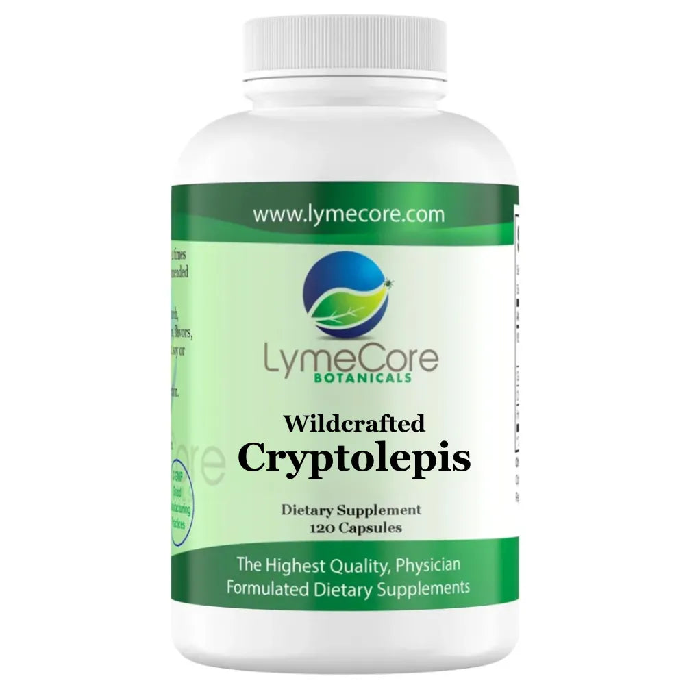 Cryptolepis Capsules