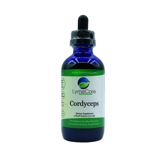 Cordyceps